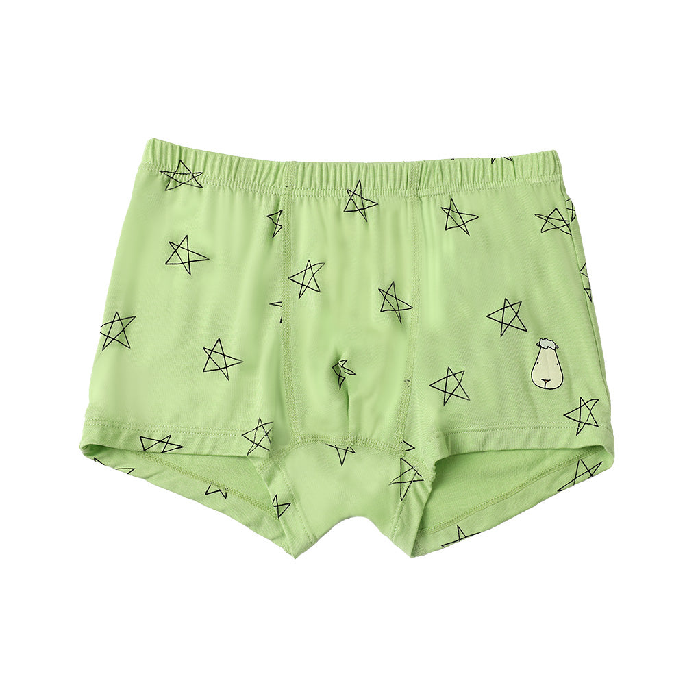 Boys Boxer C011-B 3 pcs