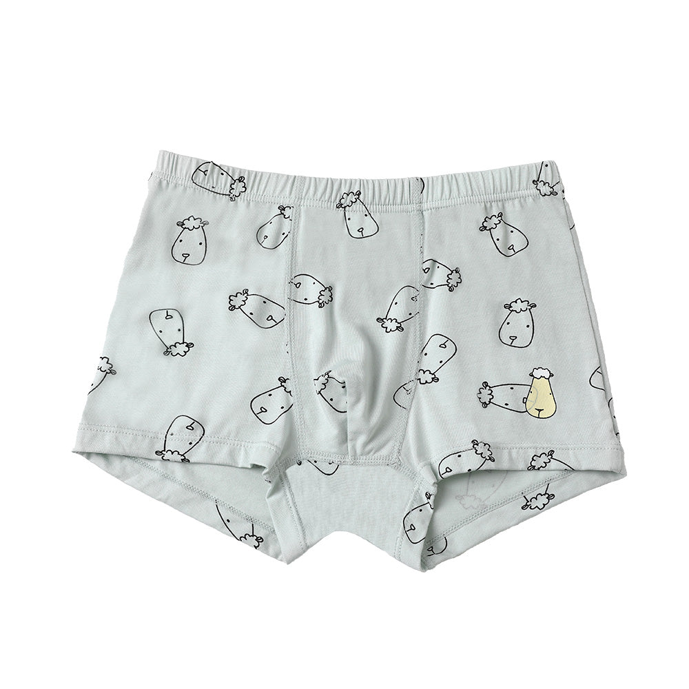 Boys Boxer C009-M 3 pcs