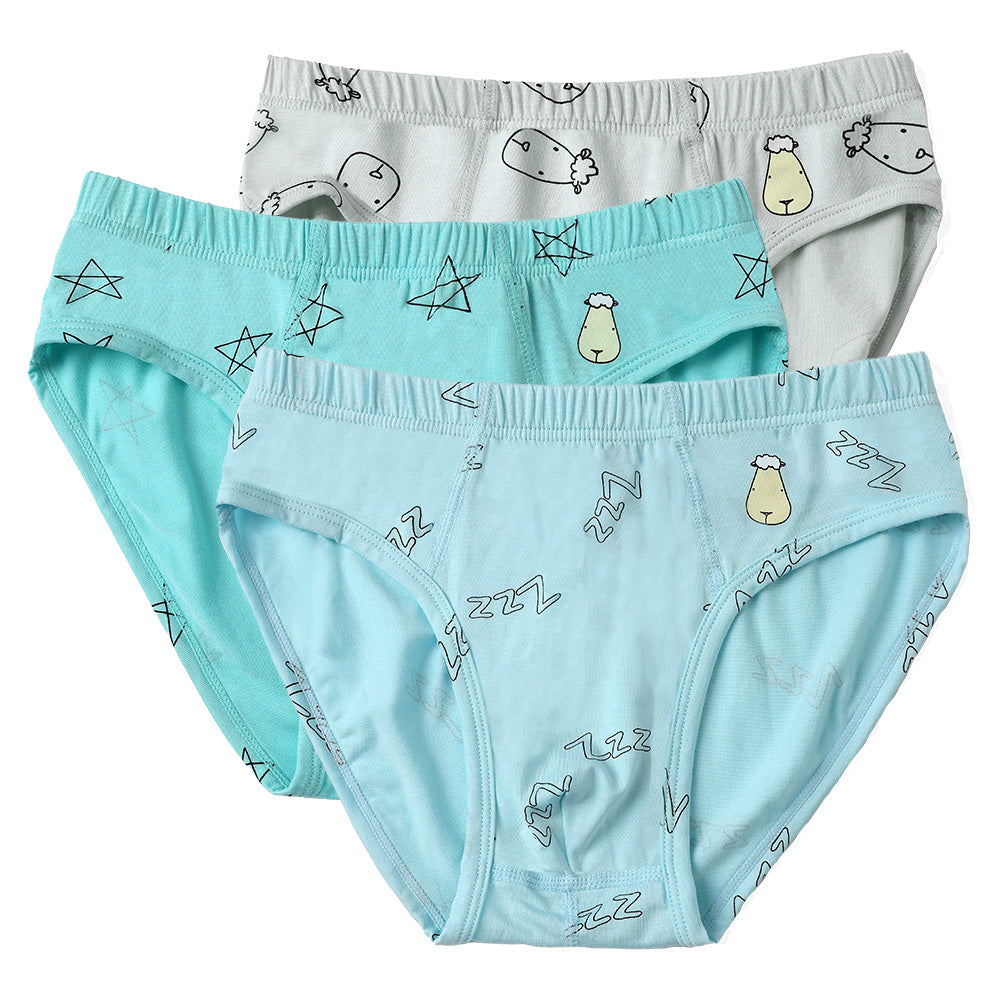 Boys Briefs C009-M 3 pcs