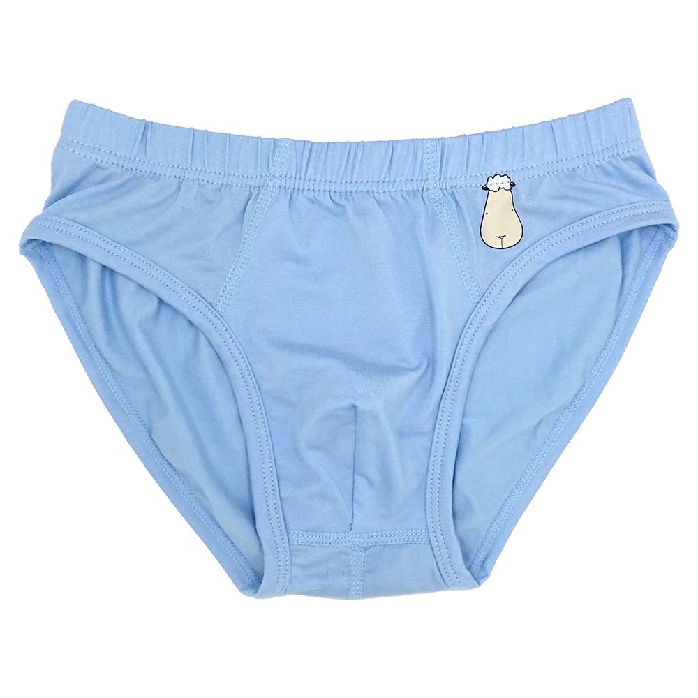 Boys New Year Sale: All Items Blue Underwear.