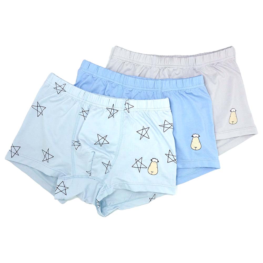 Boys Boxer C005-M 3 pcs