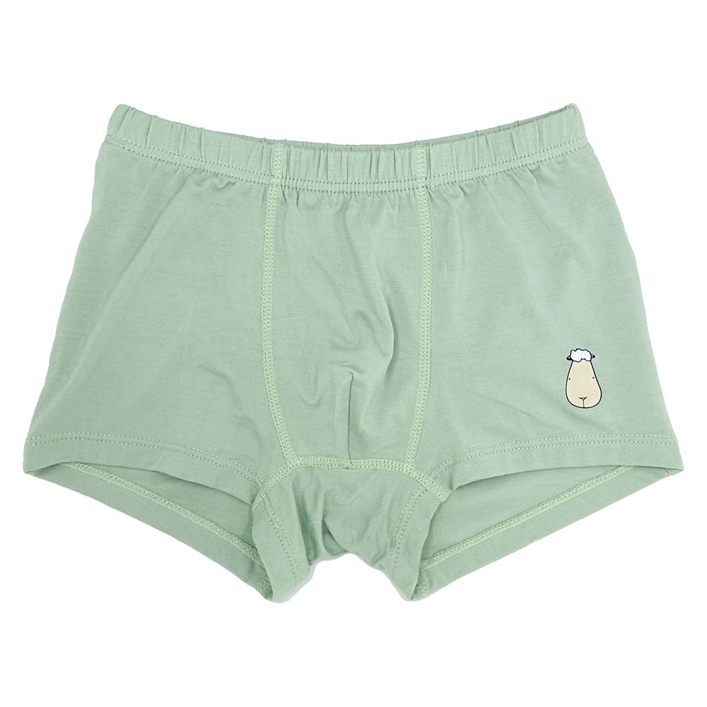 Boys Boxer A Green-B