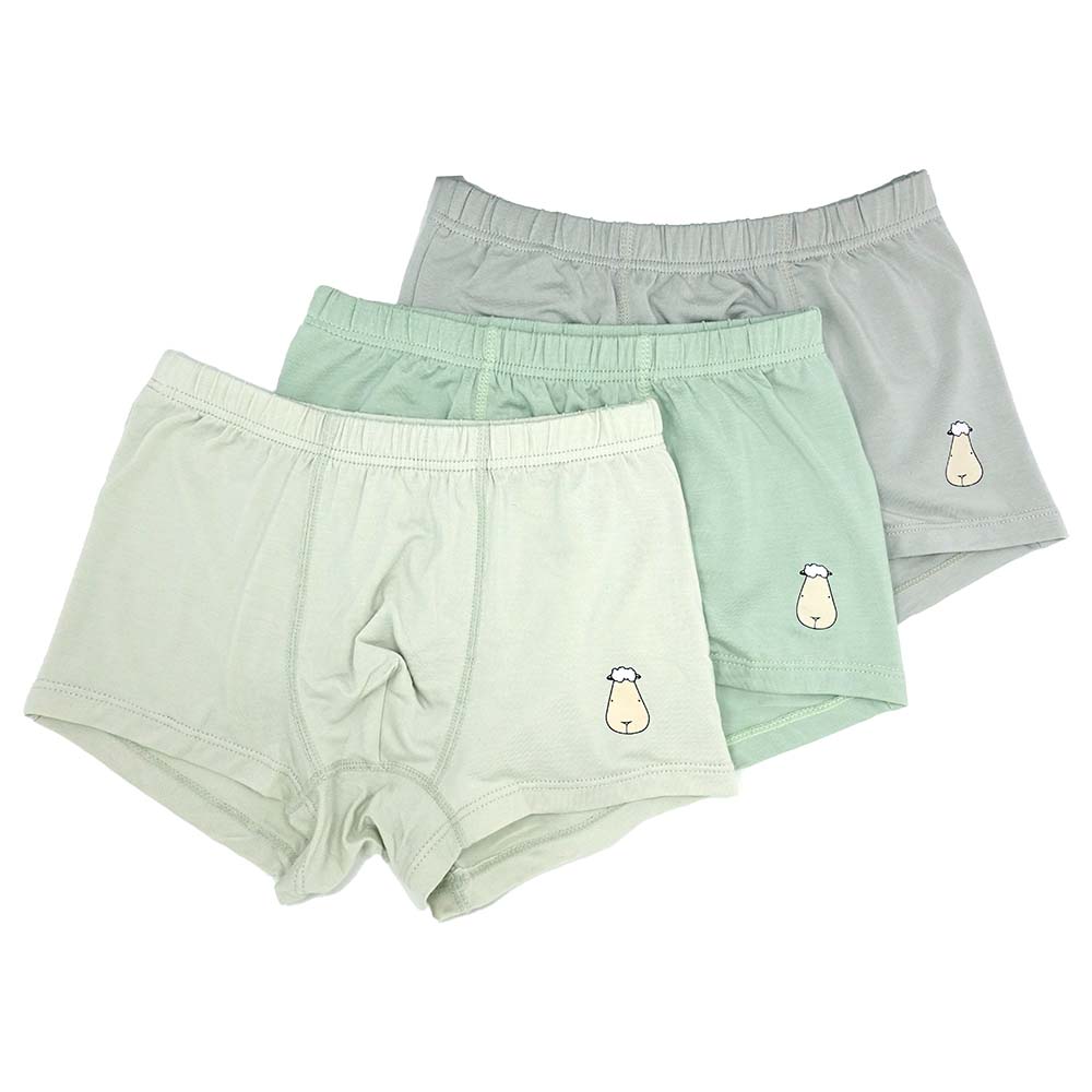 Boys Boxer C003-B 3 pcs