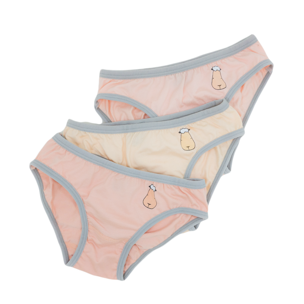 Girls Briefs C002 3 pcs